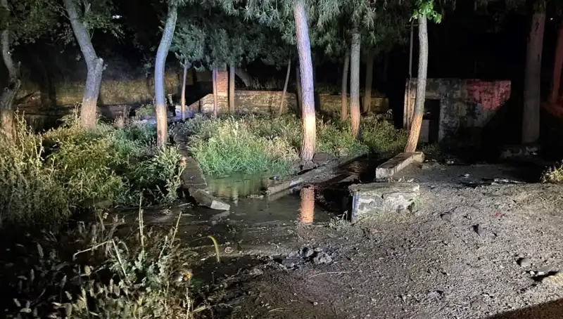 Manisa'da Şüpheli Ölüm Olayı, Parkta Gizemli Gelişmeler