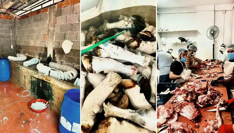 Adana'da Yüzlerce Kilo Paça Ele Geçirildi, Sağlık Piyasası Şoka Girdi