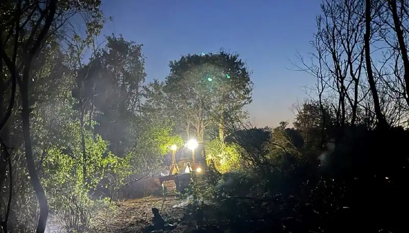 Edirne Orman Yangını Kontrol Altına Alındı: Zarar ve Kurtarma Çabaları