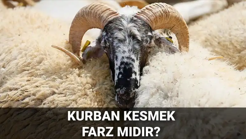 Kurban Kesmek Farz mı? Diyanet'in Hükmü ve Şartları Nedir?