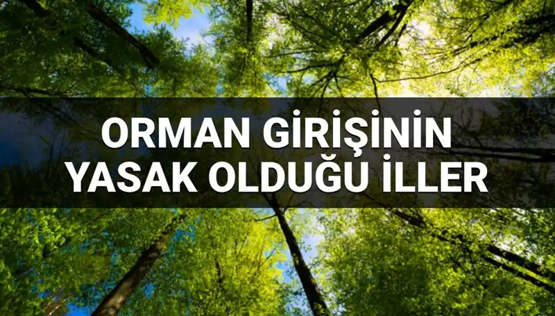2025’te Orman Girişine Yasaklanan İller: Hangi Bölgelere Dikkat Etmelisiniz?