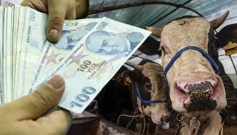 Emekli ve Memur Maaşları Kurban Bayramı'nda Hesaplarda Olacak mı?