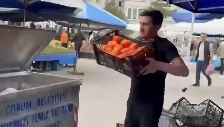 Domatesleri Çöpe Döken Pazarcıya İnanılmaz Nitelikte Para Cezası Verildi!