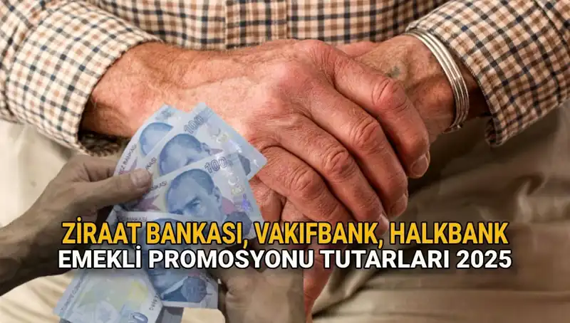 2025'te Emeklilere Sunulan Banka Promosyonları: Kamu Bankaları Ne Sunuyor?