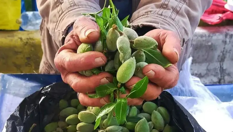 Baharın Gelişiyle Pazar Tezgahlarında Fahiş Fiyatlar: 250 TL'lik Kilo!