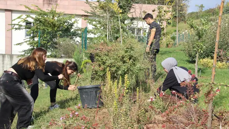 Düzce'den Dünyaya: Hayalin Gerçekleştiği Yolda Köklerimiz