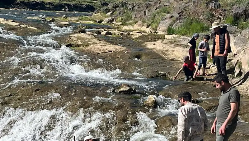 İnci Kefalinin Büyüleyici Göçü: Doğanın Harikası Turistleri Cezbetti